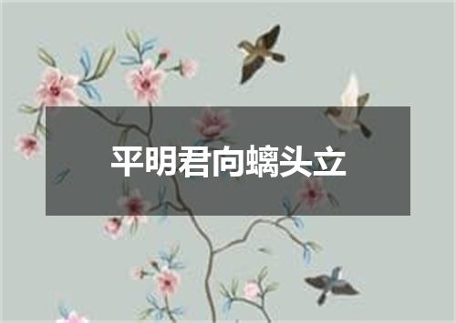 平明君向螭头立