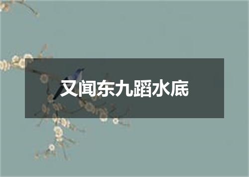 又闻东九蹈水底