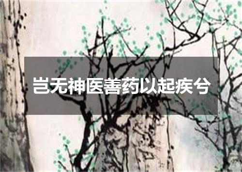 岂无神医善药以起疾兮