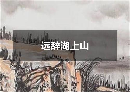 远辞湖上山