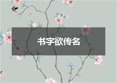 书字欲传名