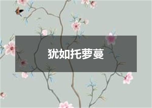 犹如托萝蔓