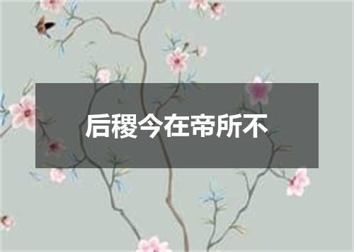 后稷今在帝所不