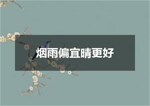 烟雨偏宜晴更好