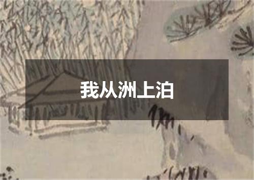 我从洲上泊