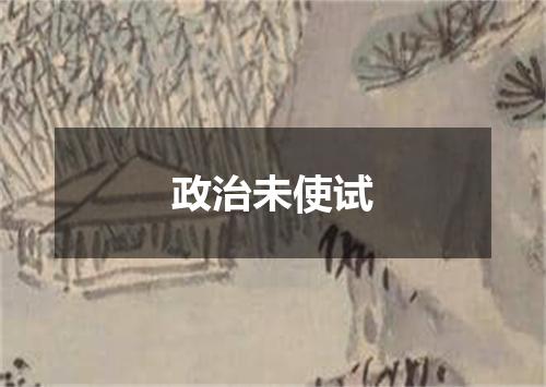 政治未使试