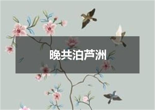 晚共泊芦洲