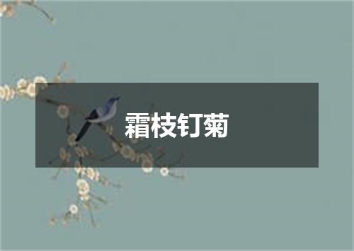 霜枝钉菊