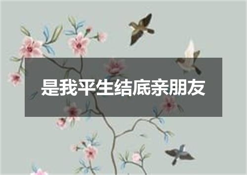 是我平生结底亲朋友