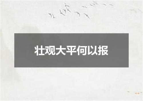 壮观大平何以报