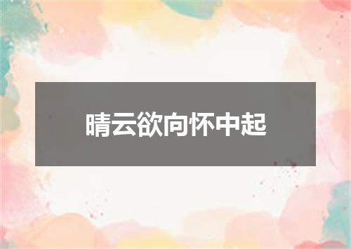 晴云欲向怀中起