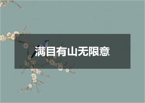 满目有山无限意