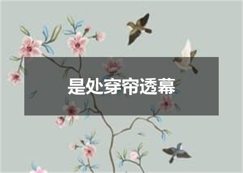 是处穿帘透幕