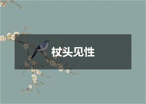 杖头见性