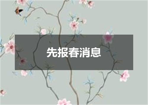 先报春消息