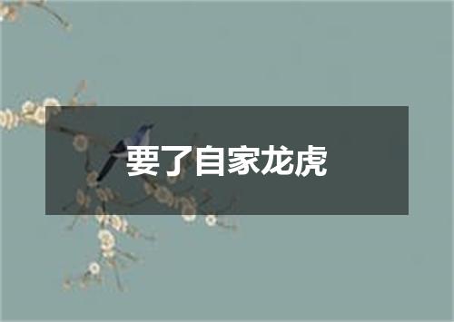 要了自家龙虎