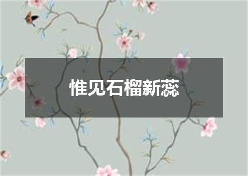 惟见石榴新蕊