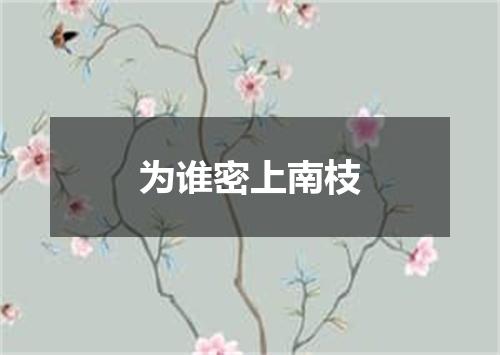 为谁密上南枝