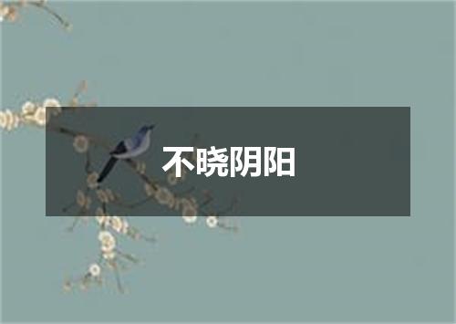 不晓阴阳