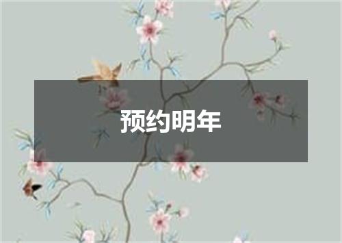 预约明年