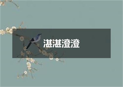 湛湛澄澄