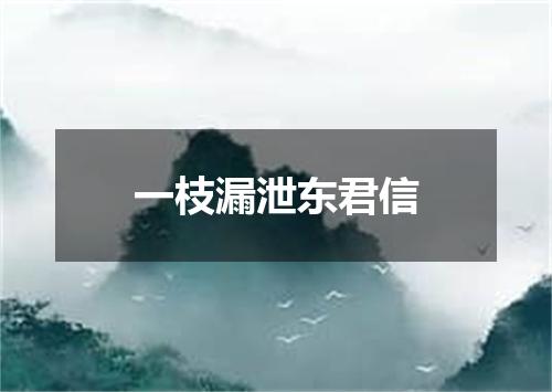 一枝漏泄东君信