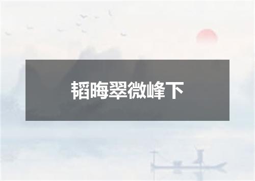 韬晦翠微峰下