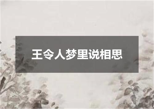 王令人梦里说相思