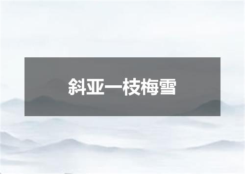 斜亚一枝梅雪