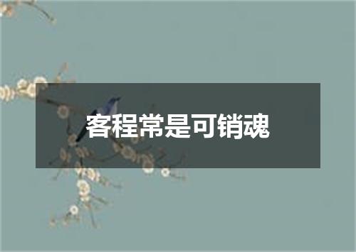 客程常是可销魂