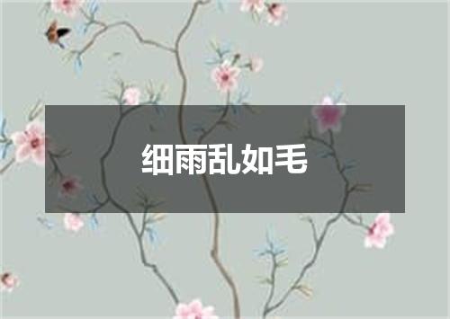 细雨乱如毛