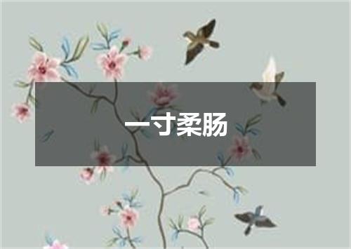 一寸柔肠