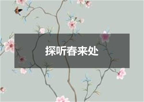 探听春来处