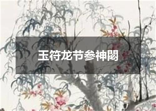 玉符龙节参神閟