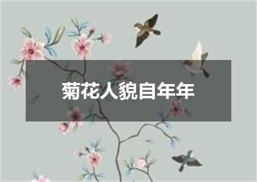 菊花人貌自年年