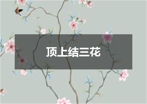 顶上结三花