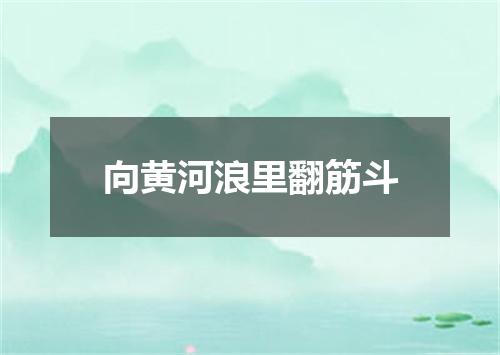 向黄河浪里翻筋斗