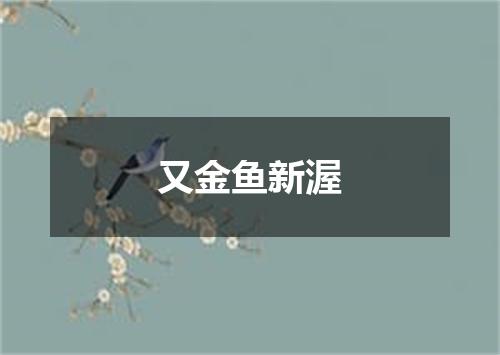 又金鱼新渥