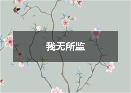 我无所监