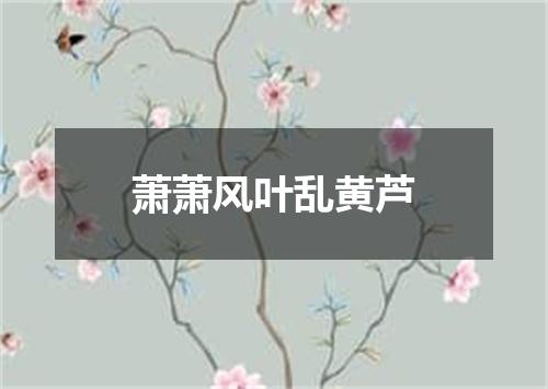 萧萧风叶乱黄芦