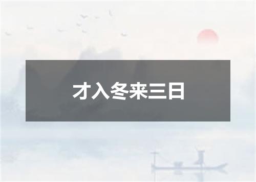 才入冬来三日