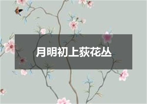 月明初上荻花丛