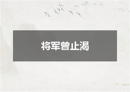 将军曾止渴