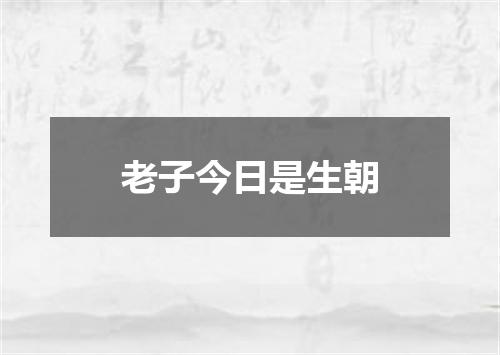 老子今日是生朝