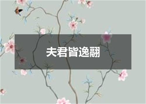 夫君皆逸翮