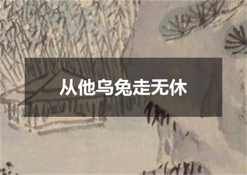 从他乌兔走无休