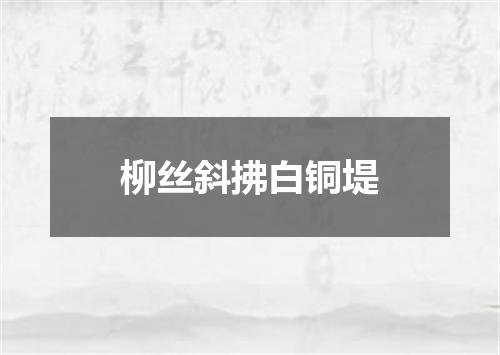 柳丝斜拂白铜堤