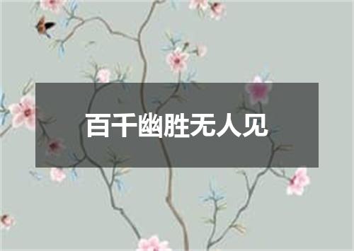 百千幽胜无人见