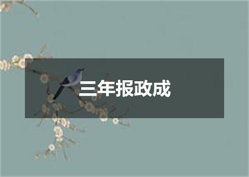 三年报政成