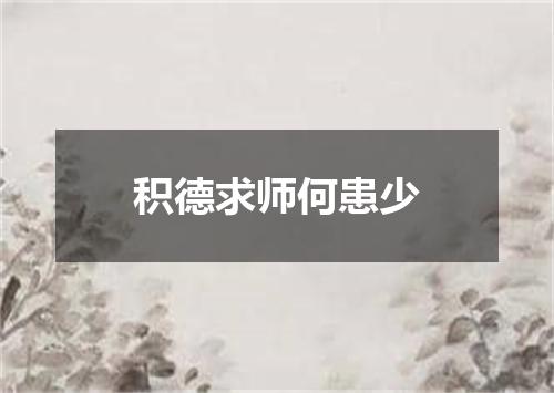 积德求师何患少